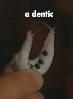 a dentic